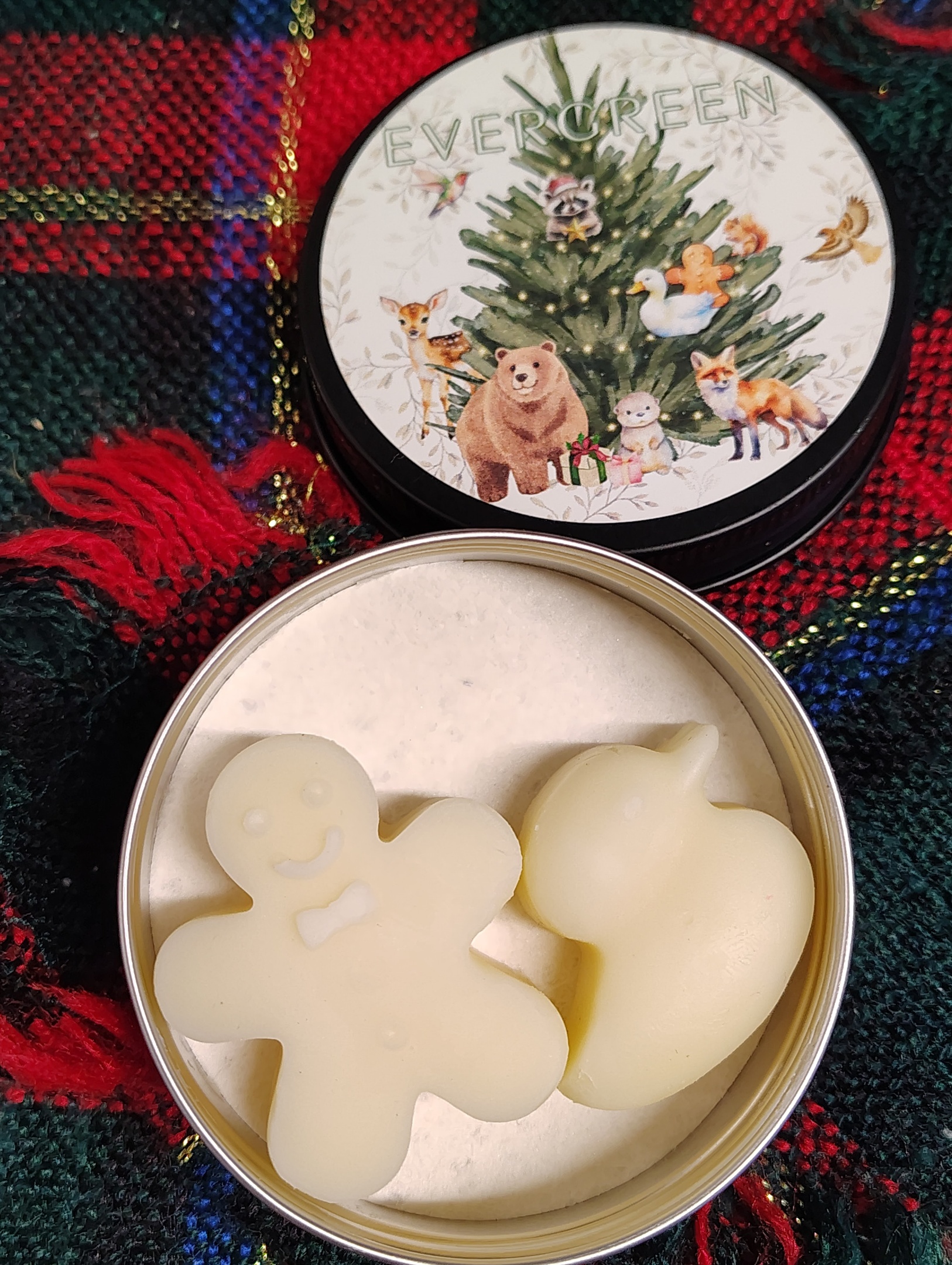 Evergreen Massage Melt Lotion Bars